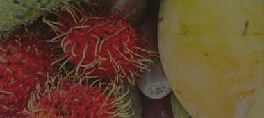 Rambutan, sapote and mango