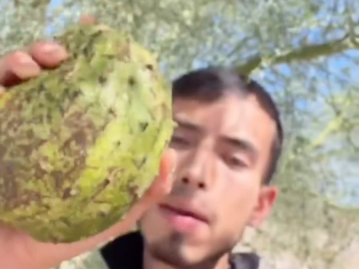Fresh soursop at an Alkali Healing pop-up in Las Vegas